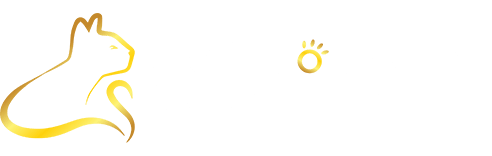 Cat Boarding Australia
